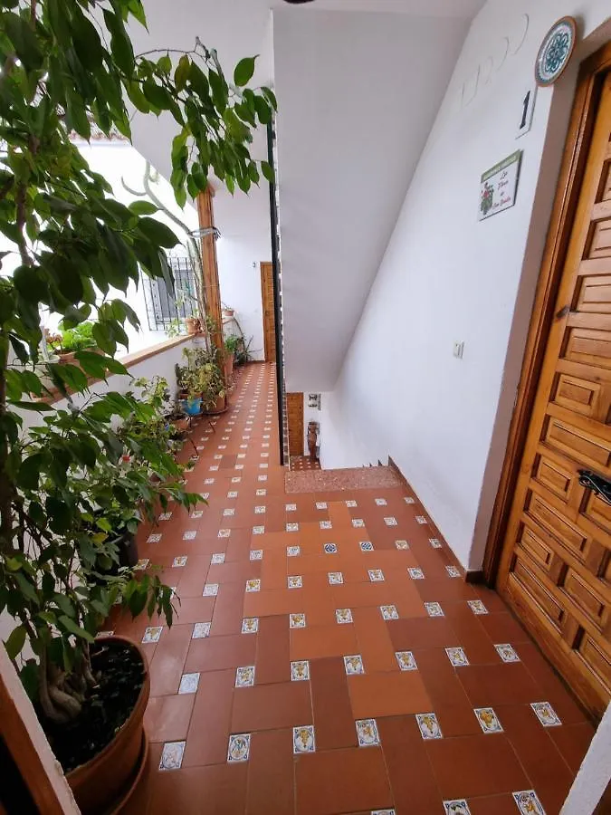 Apartamento Entre Patios San Basilio Apartment Cordoba