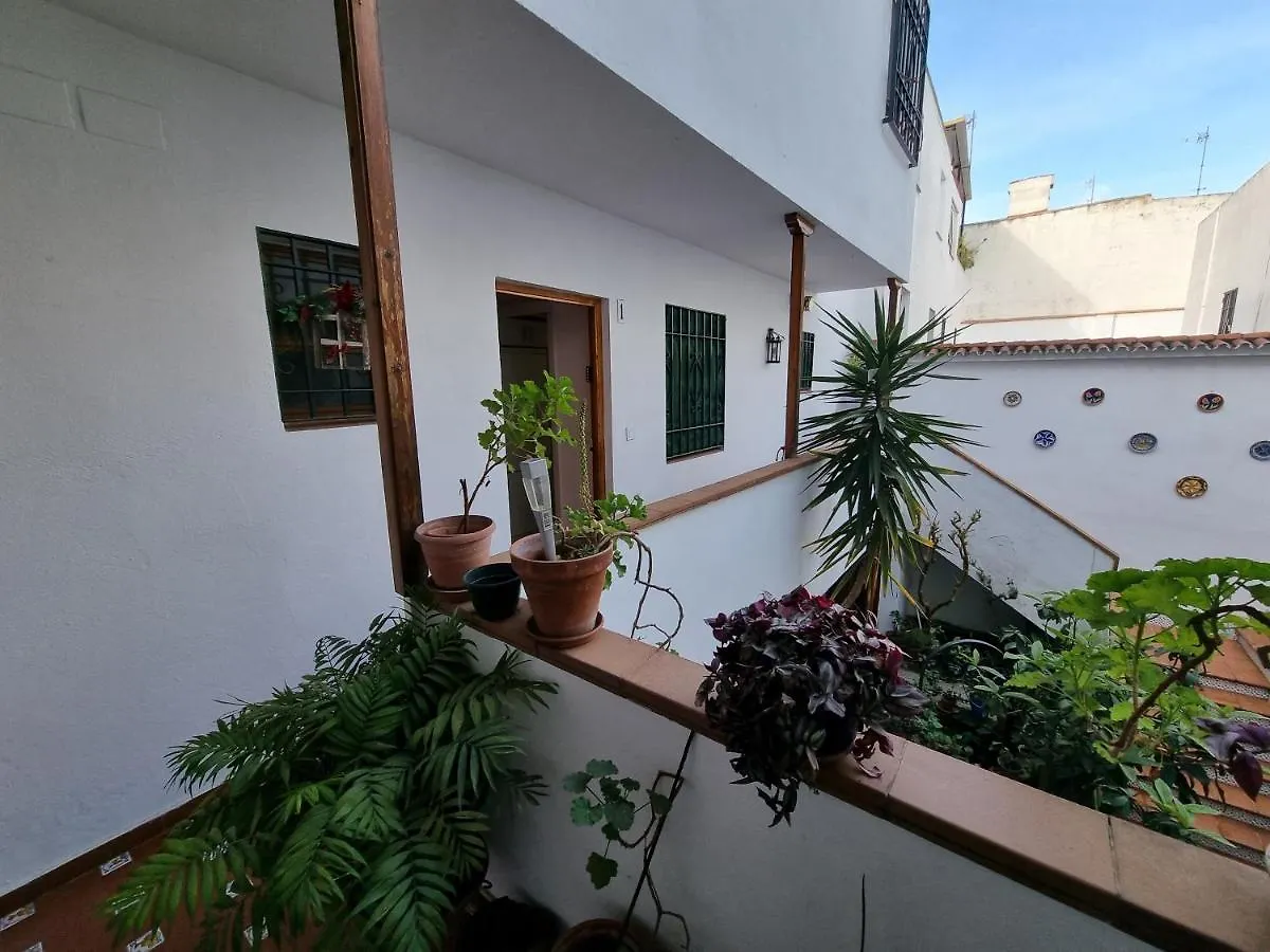 Apartamento Entre Patios San Basilio Apartment Cordoba